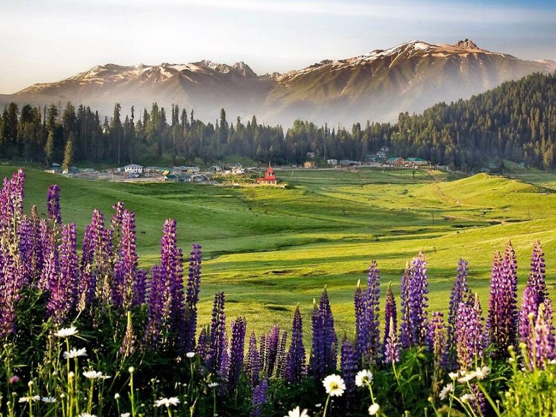 Kashmir: India’s Crown Jewel Awaits Your Return