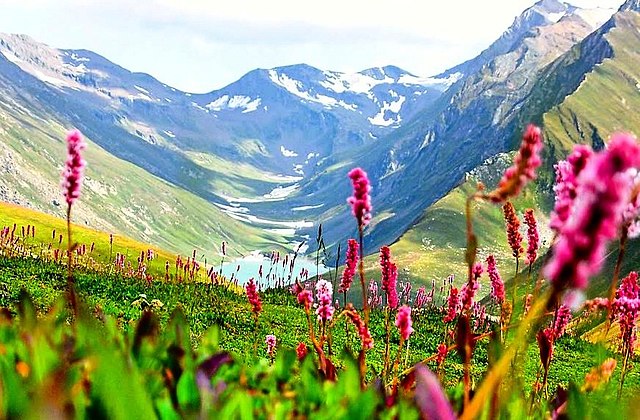 Kashmir Fix Departure Package: 6-Day Jammu–Srinagar–Gulmarg–Pahalgam Tour at ₹13,500