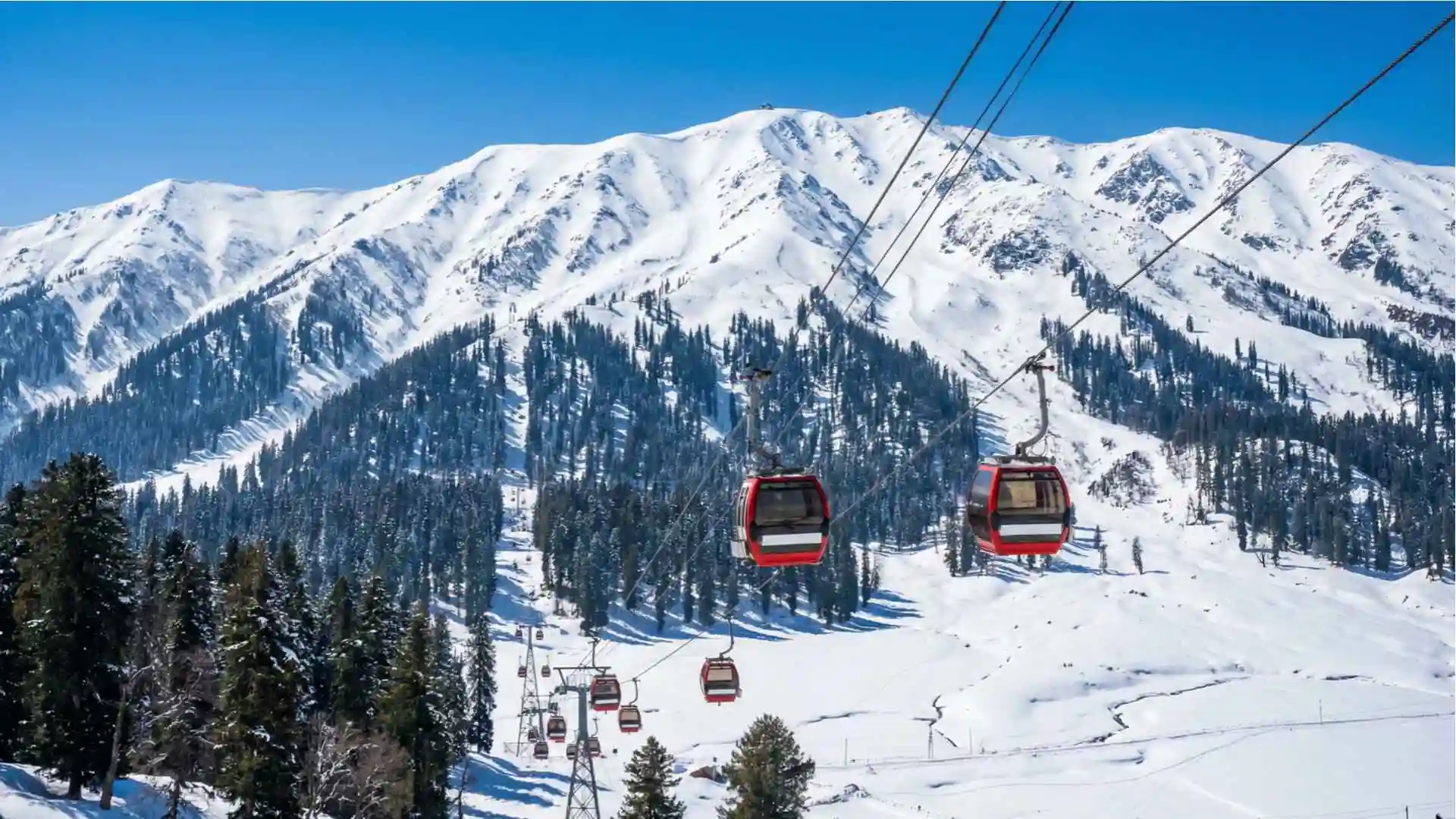 Kashmir in 5 Days, On a Budget: Srinagar, Gulmarg, Pahalgam & Sonmarg | Magic Safari